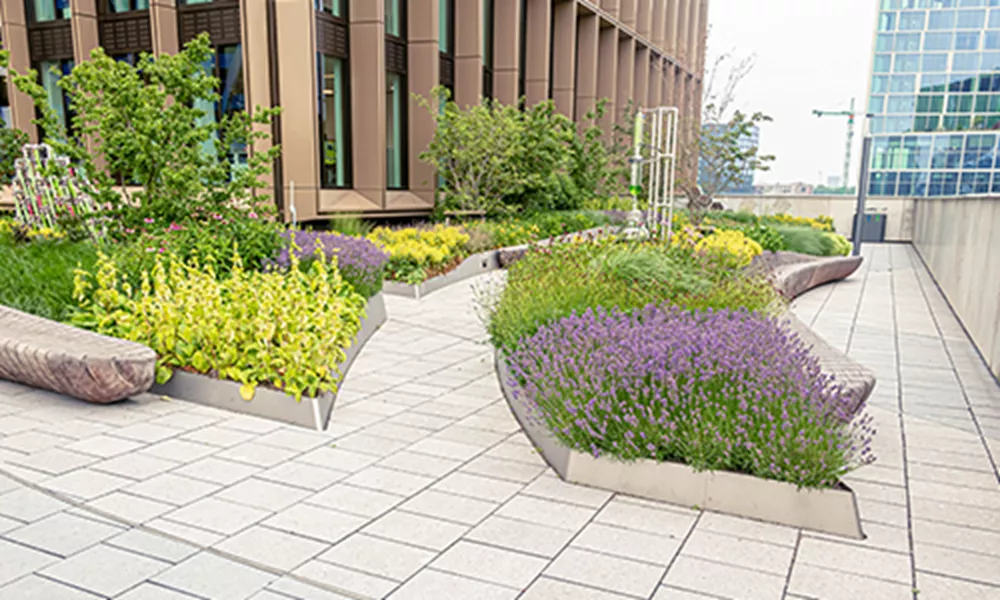 ©OKRA Landschapsarchitecten